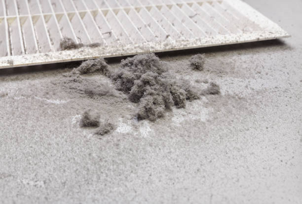 Best Professional Duct Cleaning Services  in Mountain Brook, AL